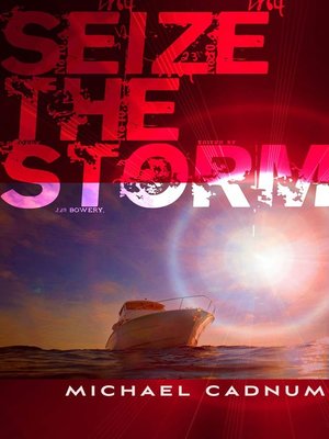 cover image of Seize the Storm
